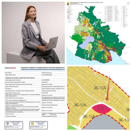 [Марина Каверина] Земля без рисков (2025)_0.png